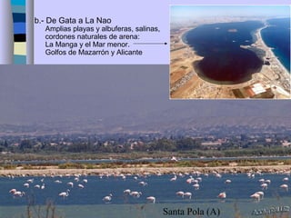 b.- De Gata a La Nao
Amplias playas y albuferas, salinas,
cordones naturales de arena:
La Manga y el Mar menor.
Golfos de Mazarrón y Alicante
Santa Pola (A)
 