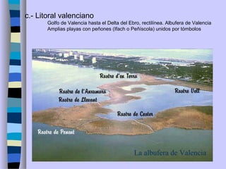 c.- Litoral valenciano
Golfo de Valencia hasta el Delta del Ebro, rectilínea. Albufera de Valencia
Amplias playas con peñones (Ifach o Peñíscola) unidos por tómbolos
La albufera de Valencia
 