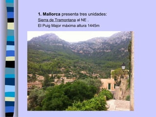 1. Mallorca presenta tres unidades:
Sierra de Tramontana al NE .
El Puig Major máxima altura 1445m
 
