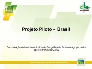 Projeto Piloto - Brasil
Coordenação de Incentivo à Indicação Geográfica de Produtos Agropecuários
CIG/DEPTA/SDC/MAPA
 