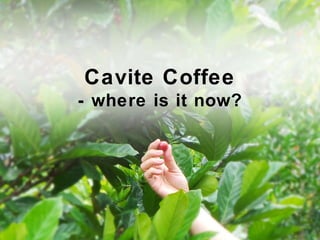 Cavite Coffee
- where is it now?
 