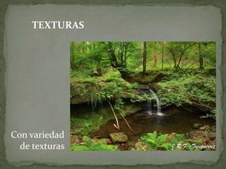 TEXTURAS
Con variedad
de texturas