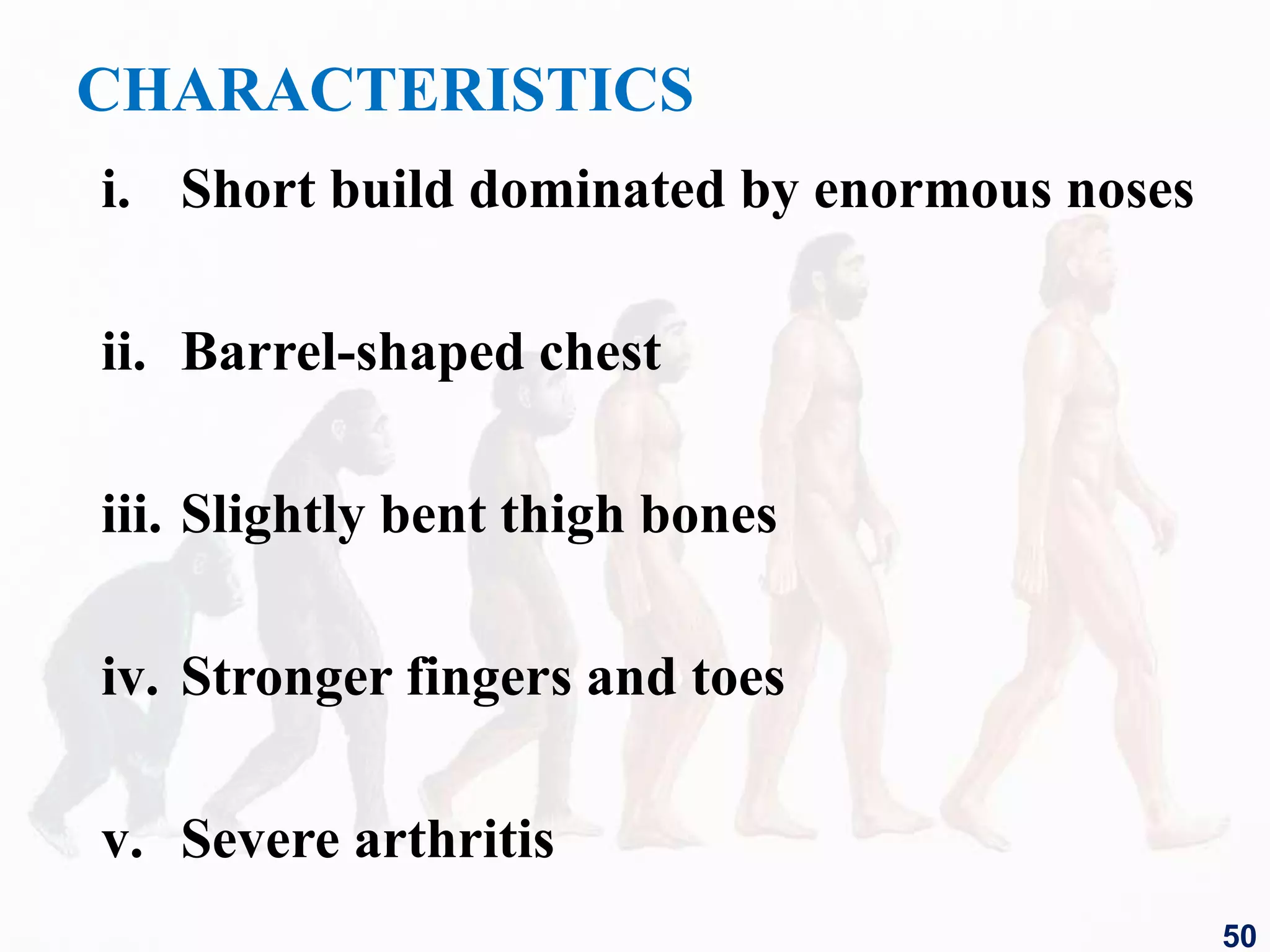 CHARACTERISTICS
i. Short build dominated by enormous noses
ii. Barrel-shaped chest
iii. Slightly bent thigh bones
iv. Stronger fingers and toes
v. Severe arthritis
50
 