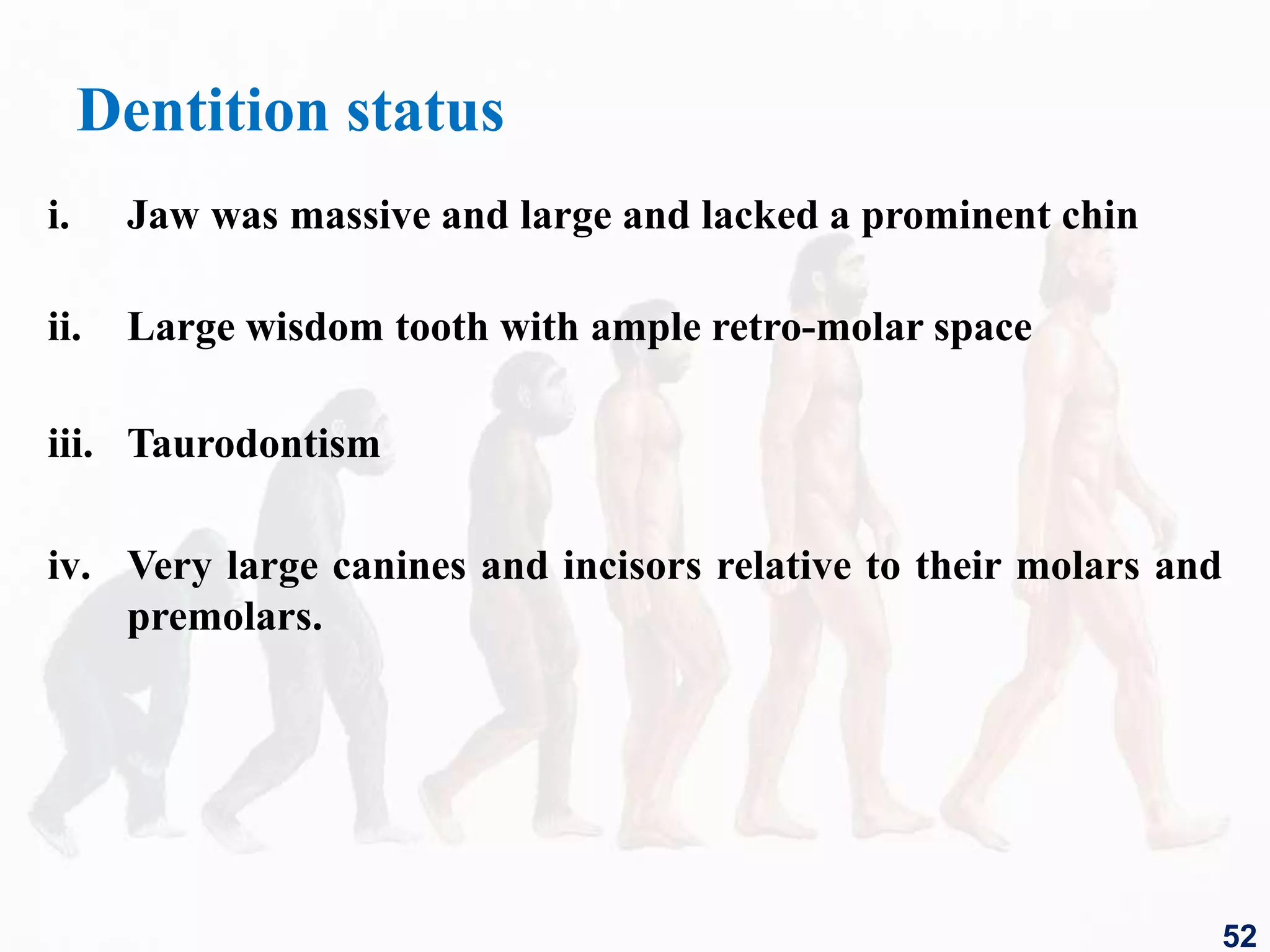 Dentition status
i. Jaw was massive and large and lacked a prominent chin
ii. Large wisdom tooth with ample retro-molar space
iii. Taurodontism
iv. Very large canines and incisors relative to their molars and
premolars.
52
 