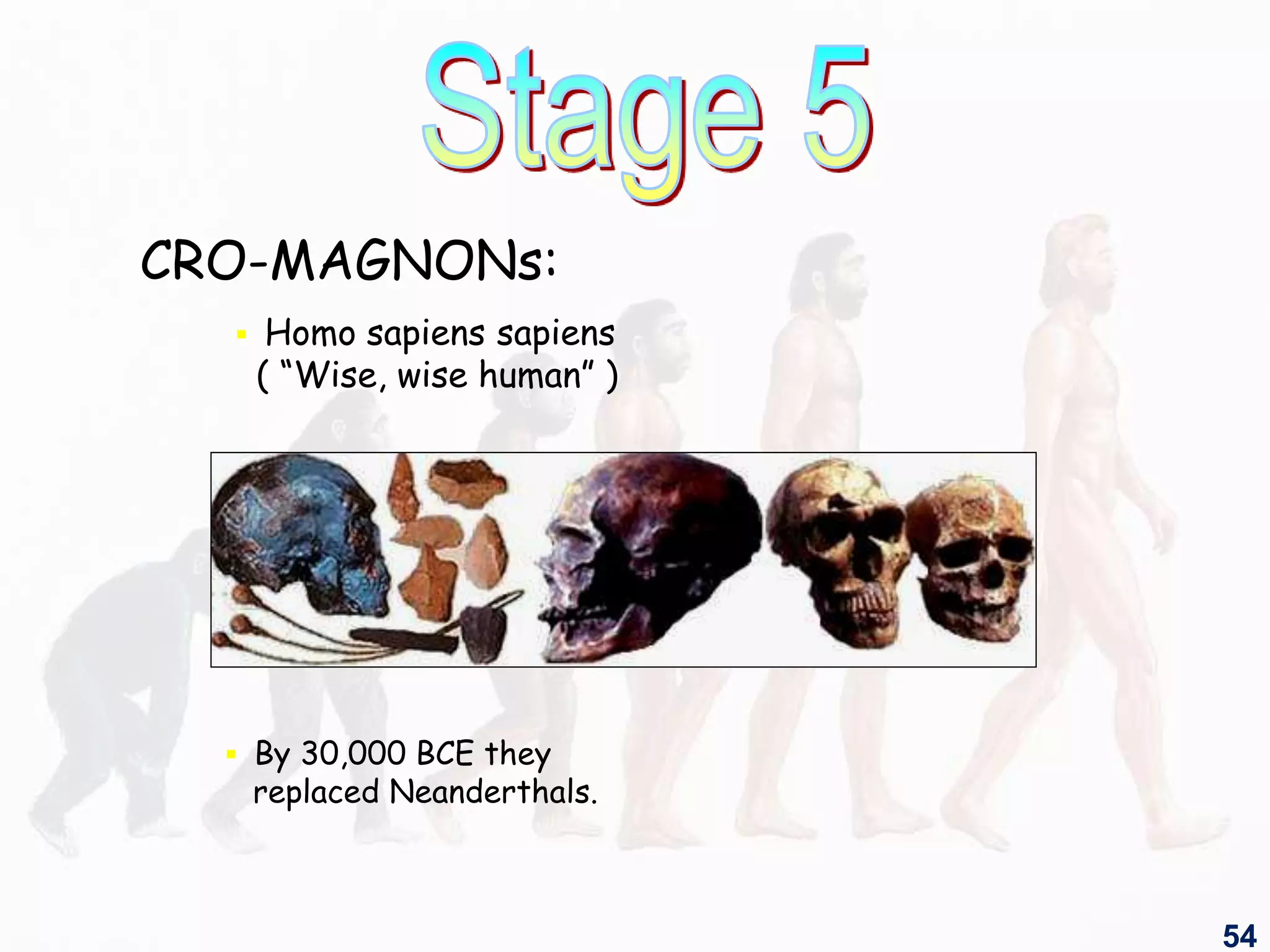 CRO-MAGNONs:
 Homo sapiens sapiens
( “Wise, wise human” )
 By 30,000 BCE they
replaced Neanderthals.
54
 