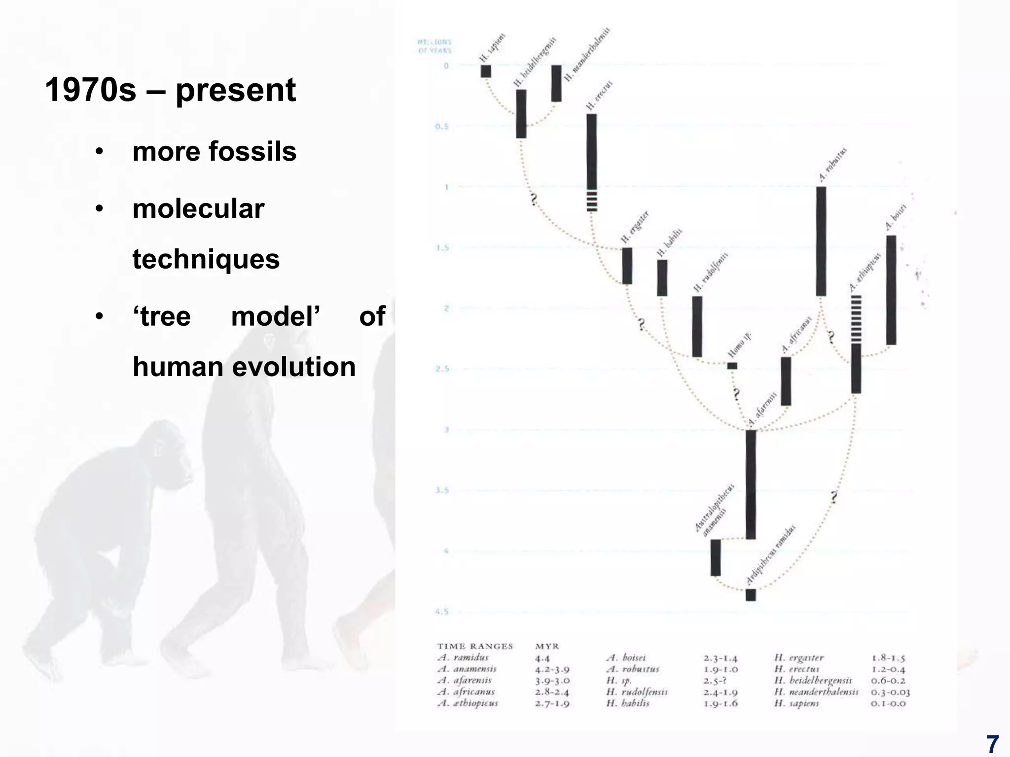 1970s – present
• more fossils
• molecular
techniques
• ‘tree model’ of
human evolution
7
 