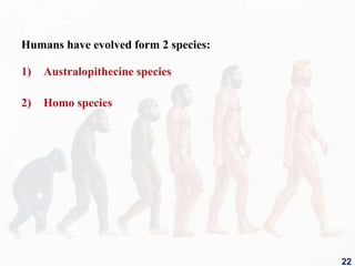 Humans have evolved form 2 species:
1) Australopithecine species
2) Homo species
22
 