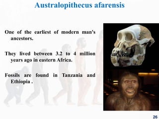 Australopithecus afarensis
One of the earliest of modern man's
ancestors.
They lived between 3.2 to 4 million
years ago in eastern Africa.
Fossils are found in Tanzania and
Ethiopia .
26
 