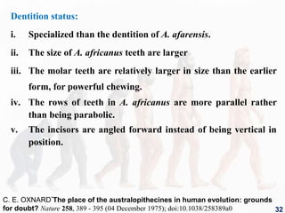 Dentition status:
i. Specialized than the dentition of A. afarensis.
ii. The size of A. africanus teeth are larger
iii. The molar teeth are relatively larger in size than the earlier
form, for powerful chewing.
iv. The rows of teeth in A. africanus are more parallel rather
than being parabolic.
v. The incisors are angled forward instead of being vertical in
position.
32
C. E. OXNARD*The place of the australopithecines in human evolution: grounds
for doubt? Nature 258, 389 - 395 (04 December 1975); doi:10.1038/258389a0
 