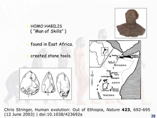  HOMO HABILIS
( “Man of Skills” )
 found in East Africa.
 created stone tools.
38
Chris Stringer, Human evolution: Out of Ethiopia, Nature 423, 692-695
(12 June 2003) | doi:10.1038/423692a
 