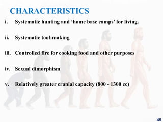 CHARACTERISTICS
i. Systematic hunting and ‘home base camps’ for living.
ii. Systematic tool-making
iii. Controlled fire for cooking food and other purposes
iv. Sexual dimorphism
v. Relatively greater cranial capacity (800 - 1300 cc)
45
 