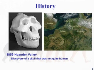 History
1856-Neander Valley
Discovery of a skull that was not quite human
5
 