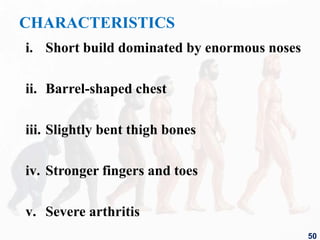 CHARACTERISTICS
i. Short build dominated by enormous noses
ii. Barrel-shaped chest
iii. Slightly bent thigh bones
iv. Stronger fingers and toes
v. Severe arthritis
50
 
