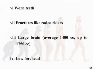 vi Worn teeth
vii Fractures like rodeo riders
viii Large brain (average 1400 cc, up to
1750 cc)
ix. Low forehead
51
 