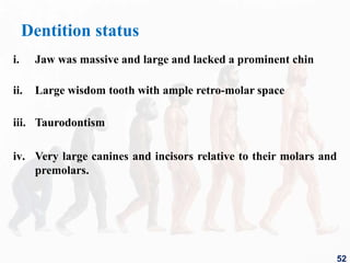 Dentition status
i. Jaw was massive and large and lacked a prominent chin
ii. Large wisdom tooth with ample retro-molar space
iii. Taurodontism
iv. Very large canines and incisors relative to their molars and
premolars.
52
 