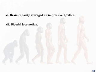 vi. Brain capacity averaged an impressive 1,350 cc.
vii. Bipedal locomotion.
58
 