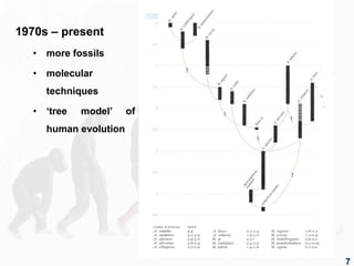 1970s – present
• more fossils
• molecular
techniques
• ‘tree model’ of
human evolution
7
 