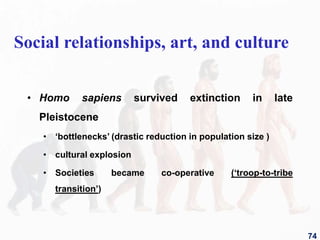• Homo sapiens survived extinction in late
Pleistocene
• ‘bottlenecks’ (drastic reduction in population size )
• cultural explosion
• Societies became co-operative (‘troop-to-tribe
transition’)
Social relationships, art, and culture
74
 