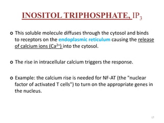 INOSITOL TRIPHOSPHATE, IP3
 This soluble molecule diffuses through the cytosol and binds
to receptors on the endoplasmic reticulum causing the release
of calcium ions (Ca2+) into the cytosol.
 The rise in intracellular calcium triggers the response.
 Example: the calcium rise is needed for NF-AT (the "nuclear
factor of activated T cells") to turn on the appropriate genes in
the nucleus.
17
 