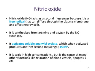 Nitric oxide
• Nitric oxide (NO) acts as a second messenger because it is a
free radical that can diffuse through the plasma membrane
and affect nearby cells.
• It is synthesised from arginine and oxygen by the NO
synthase.
• It activates soluble guanylyl cyclase, which when activated
produces another second messenger, cGMP.
• It is toxic in high concentrations , but is the cause of many
other functions like relaxation of blood vessels, apoptosis
etc.
20
 