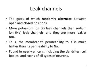 Leak channels
• The gates of which randomly alternate between
open and closed positions .
• More potassium ion (K) leak channels than sodium
ion (Na) leak channels, and they are more leakier
too.
• Thus, the membrane’s permeability to K is much
higher than its permeability to Na.
• Found in nearly all cells, including the dendrites, cell
bodies, and axons of all types of neurons.
4
 