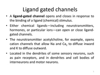 Ligand gated channels
• A ligand-gated channel opens and closes in response to
the binding of a ligand (chemical) stimulus.
• Either chemical ligands—including neurotransmitters,
hormones, or particular ions—can open or close ligand-
gated channels.
• The neurotransmitter acetylcholine, for example, opens
cation channels that allow Na and Ca2 to diffuse inward
and K to diffuse outward.
• Located in the dendrites of some sensory neurons, such
as pain receptors, and in dendrites and cell bodies of
interneurons and motor neurons.
5
 