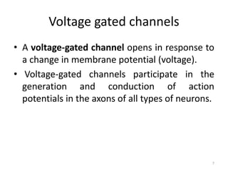 Voltage gated channels
• A voltage-gated channel opens in response to
a change in membrane potential (voltage).
• Voltage-gated channels participate in the
generation and conduction of action
potentials in the axons of all types of neurons.
7
 