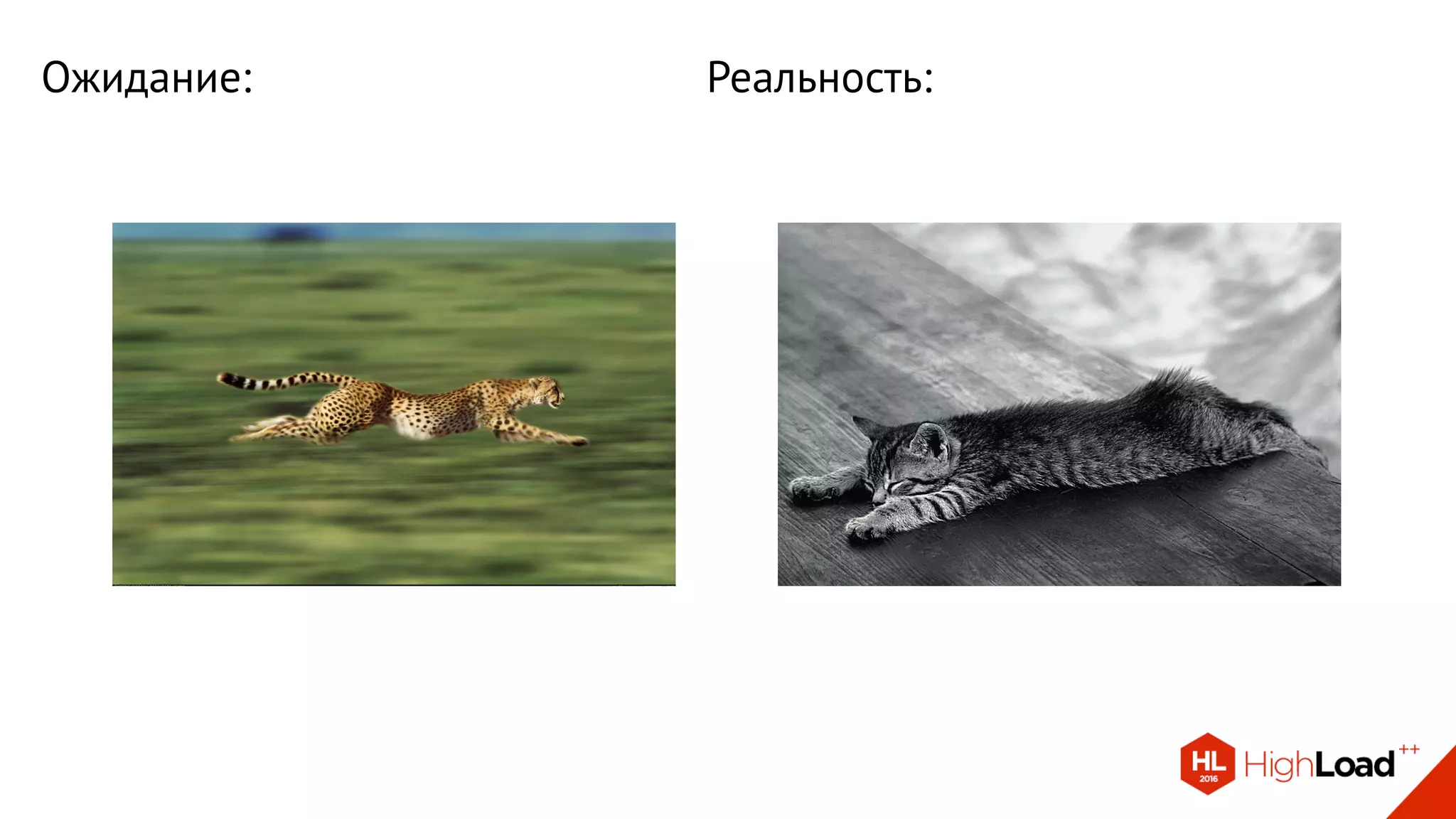 Ожидание: Реальность:
 