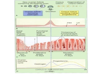 10
COMPILED BY: PROF.ANWAR BAIG
(AIKTC,SOP)
 