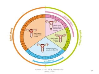 COMPILED BY: PROF.ANWAR BAIG
(AIKTC,SOP)
14
 