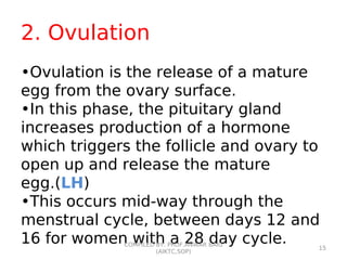 2. Ovulation
•Ovulation is the release of a mature
egg from the ovary surface.
•In this phase, the pituitary gland
increases production of a hormone
which triggers the follicle and ovary to
open up and release the mature
egg.(LH)
•This occurs mid-way through the
menstrual cycle, between days 12 and
16 for women with a 28 day cycle.COMPILED BY: PROF.ANWAR BAIG
(AIKTC,SOP)
15
 