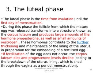 3. The luteal phase
•The luteal phase is the time from ovulation until the
first day of menstruation.
•During this phase the follicle from which the mature
egg was released transforms into a structure known as
the corpus luteum and produces large amounts of the
hormone progesterone, as well as small amounts of
oestrogen., These hormones contribute to the further
thickening and maintenance of the lining of the uterus
in preparation for the embedding of a fertilised egg.
•If fertilisation of the egg does not occur, the corpus
luteum dies and progesterone levels decline leading to
the breakdown of the uterus lining, which is shed
through the vagina as a period (menstruation).
COMPILED BY: PROF.ANWAR BAIG
(AIKTC,SOP)
16
 