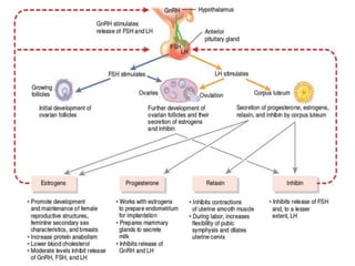 17/08/15 COMPILED BY: PROF.ANWAR BAIG(AIKTC,SOP)
Secretion of Estrogen ad Progesterone
 