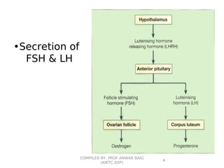 •Secretion of
FSH & LH
4
COMPILED BY: PROF.ANWAR BAIG
(AIKTC,SOP)
 