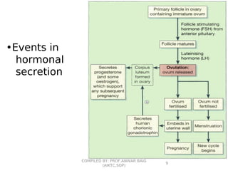 •Events in
hormonal
secretion
9
COMPILED BY: PROF.ANWAR BAIG
(AIKTC,SOP)
 