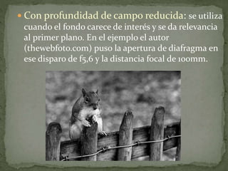  Con profundidad de campo reducida: se utiliza
cuando el fondo carece de interés y se da relevancia
al primer plano. En el ejemplo el autor
(thewebfoto.com) puso la apertura de diafragma en
ese disparo de f5,6 y la distancia focal de 100mm.
 