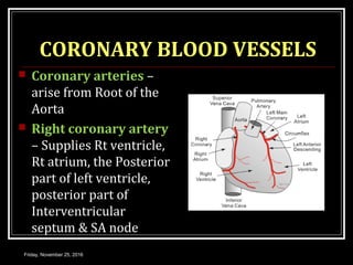 CORONARY CIRCULATION | PPT
