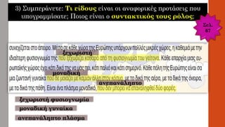 3) Συμπεράνετε: Τι είδους είναι οι αναφορικές προτάσεις που
υπογραμμίσατε; Ποιος είναι ο συντακτικός τους ρόλος;
Σελ.
67
ξεχωριστή
μοναδική
ανεπανάληπτο
ξεχωριστή φυσιογνωμία
μοναδική γυναίκα
ανεπανάληπτο πλάσμα
 