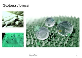 5Марина Росс
Эффект Лотоса
 