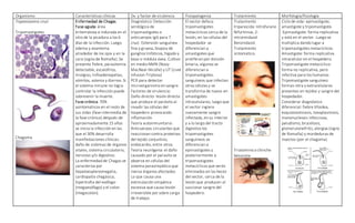 Organismo Características clínicas Dx. y factor de virulencia Fisiopatogenia Tratamiento Morfología/fisiología
Trypanosoma cruzi
Tripomastigotes
Chagoma
Enfermedad de Chagas.
Fase aguda: área
eritematosa e indurada en el
sitio de la picadura a los 6
días de la infección. Luego
edema y exantema
alrededor de los ojos y en la
cara (signo de Romaña). Se
presenta fiebre, parasitemia
detectable, escalofríos,
mialgias, linfoadenopatías,
vómitos, astenia y diarrea. Si
el sistema inmune no logra
controlar la infección puede
sobrevenir la muerte.
Fase crónica: 70%
asintomáticos en el resto de
sus vidas (fase intermedia de
la fase crónica) después de
aproximadamente 15 años
se inicia la infección en las
que el 30% desarrolla
manifestaciones clínicas:
daño de sistemas de órganos
vitales, sistema circulatorio,
nervioso y/o digestivo.
La enfermedad de Chagas se
caracteriza por
hepatoesplenomegalia,
cardiopatía chagásica,
hipertrofia del esófago
(megaesófago) y el colon
(megacolon).
Diagnóstico: Detección
serológica de
tripomastigotes o
anticuerpos IgG para T.
cruzi. Extensión sanguínea
fina y gruesa, biopsia de
ganglios linfáticos, hígado y
baso o médula ósea. Cultivo
en medio NMN (Novy-
MacNeal-Nicolle) y LIT (Liver
Infusion-Triptosa)
PCR para detectar
microorganismo en sangre.
Factores de virulencia:
Daño directo- lesión directa
que produce el parásito al
invadir las células del
hospedero provocando
inflamación.
Teoría autoinmunitaria:
Anticuerpos circulantes que
reaccionan contra proteínas
del tejido conjuntivo,
endocardio, entre otros.
Teoría neurógena: el daño
causado por el parasito se
observa en células del
sistema parasimpático que
inerva órganos afectados.
Lo que causa una
estimulación simpática
excesiva que causa lesión
irreversible por sobre carga
de trabajo.
El vector defeca
tripomastigotes
metacíclicos cerca de la
lesión, en las células del
hospedador se
diferencian a
amastigotes que
proliferan por división
binaria, algunos se
diferencian a
tripomastigotes
sanguíneos que infectan
otras células y se
transforma de nuevo en
amastigotes
intracelulares, luego que
el vector ingiere
nuevamente sangre
infectada, en su interior
y a lo largo del tracto
digestivo los
tripomastigotes
sanguíneos se
diferencian a
epimastigotes y
posteriormente a
tripomastigotes
metacíclicos que serán
eliminados en las heces
del vector, cerca de la
lesión que producen al
succionar sangre del
hospedero.
Tratamiento
tripanocida: nitrofurano
Nifurtimox, 2-
nitroimidazol
Benznidazol.
Tratamiento
sintomático.
Triatomino o chinche
besucona
Ciclo de vida: epimastigote,
amastigote y tripomastigote.
Epimastigote: forma replicativa
y está en el vector. Luego se
multiplica dando lugar a
tripomastigotes metacíclicos.
Amastigote: forma replicativa
intracelular en el hospedero.
Tripomastigote metacíclico:
forma no replicativa, pero
infectiva para los humanos.
Tripomastigote sanguíneo:
formas intra y extracelulares
presentes en tejidos y sangre del
hospedador.
Considerar diagnóstico
diferencial: fiebre tifoidea,
esquistosomiasis, toxoplasmosis,
mononucleosis infecciosa,
paludismo, brucelosis,
glomerulonefritis, alergias (signo
de Romaña) y mordeduras de
insectos (por el chagoma)
 