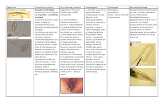 Organismo Características clínicas Dx. y factor de virulencia Fisiopatogenia Tratamiento Morfología/fisiología
Enterobius vermicularis
Huevo embrionado
Huevo larvado
Oxiurasis o enterobiasis
Los síntomas más relevantes
son el prurito y los síntomas
nerviosos.
El prurito es perianal, nasal y
vulvar. El vulvar se
acompaña de leucorrea,
dermatitis y ocasionalmente
salpingitis.
Los síntomas nerviosos son
alteraciones del sueño
nocturno, insomnio,
irritabilidad y bruxismo. Si no
se atiende, la enterobiasis
persiste por meses y puede
llevar al niño a la enuresis.
Además, los síntomas se
pueden acompañar de dolor
abdominal, meteorismo y a
veces diarrea.
Hay reportes aislados de
casos en los que se hayan
parásitos en parénquima
hepático, nódulos
pulmonares, bazo, ganglios
linfáticos, próstata, riñones y
ojo.
Diagnóstico: Técnica de
Graham o del celofán
transparente.
Los oxiuros producen
lesiones intestinales. El
prurito es originado debido
a la hipersensibilidad a las
sustancias excretadas y
secretadas por el parásito
cuando deposita los huevos.
En la mujer los oxiuros
pueden desplazarse hacia
los órganos sexuales
produciendo colpitis con
leucorrea y prurito. Puede
llegar a alcanzar útero,
trompas, ovarios y
peritoneo. En el peritoneo
en la capa serosa el parásito
es aislado como cuerpo
extraño, ocasiona peritonitis
plástica localizada y hay que
tratar quirúrgicamente para
extraer el granuloma que
contiene en su centro al
oxiuro.
La infección inicia con la
ingesta de huevos
larvados, pasan al tubo
digestivo, en el
estómago y duodeno
eliminan las capas de su
cubierta, la larva
eclosiona y migra al
intestino delgado, ya en
el ciego el parásito se
desarrolla en adulto
macho y hembra, ahí
copulan. Los huevos son
depositados en los
pliegues perianales
(10,000) y en pocas
horas serán infectivos. Al
rascarse los huevos
larvados pasan a la ropa
interior, cama, suelo,
paredes y aire. La
persona se infecta por
inhalación o ingestión de
los huevos durante la
manipulación de objetos
contaminados.
Albendazol y
mebendazol.
Tratar a toda la familia al
mismo tiempo.
Parásito intestinal más frecuente
en todo el mundo. Rivaliza con
Ascaris lumbricoides.
Nematodo blanquecino,
delgado, hembra mide 1 cm y el
macho 0.5 cm. Habita
principalmente en el ciego, colon
ascendente e íleon terminal.
Huevos ovales, la hembra
deposita huevos embrionados y
después de 6 horas se formará
una larva.
Macho adulto
Cabeza
 