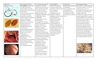 Organismo Características clínicas Dx. y factor de virulencia Fisiopatogenia Tratamiento Morfología/fisiología
Trichuris trichiuria Tricocefalosis o trichuriosis.
El cuadro clínico está
relacionado con la carga
parasitaria, si es poco resulta
asintomática.
La diarrea crónica es la más
frecuente, hay cólicos
intestinales, náuseas y
vómitos. Dolor en cuadrante
superior derecho de
abdomen simulando
apendicitis. En infecciones
severas la diarrea es
reemplazada por la
disentería presentando
evacuaciones
mucosanguinolentas, pujo,
tenesmo y enterorragia.
Anemia microcítica e
hipocrómica.
Hay geofagia que
desaparece al curar la
enfermedad.
Se puede ocasionar prolapso
rectal debido a diarrea
intensa, también anorexia,
desnutrición.
Es una geohelmintiasis.
Diagnóstico: Examen
seriado de copro (CPS) con
técnica de Stoll o de Kato.
En los CPS se solicita
recuento de huevos por
gramo de heces: Leve:
<5000 hgh. Moderada: 5000
a 10000 hgh. Intensa:
>10,000 hgh.
Colonoscopia en casos
asintomáticos.
La patogenia de Trichuris
trichuria es principalmente
de tipo mecánico, al
adherirse a la mucosa
intestinal, produce
inflamación local. Ahí se
observa hiperemia,
inflamación, elevación de
IgE, aumento de eosinófilos
sanguíneos y eliminación de
cristales de Charcot-Leyden
en heces. El parásito es
hematófago produciendo
lesiones en vasos
sanguíneos. Los niños
parasitados pueden
desarrollar anemia
microcítica y ferropénica.
Los microtraumatismos
incrementan el
peristaltismo, diarrea y
espasmos que originan
cólicos, tenesmo, pujo.
Una persona ingiere
huevos larvados, estos
pierden su envoltura por
la acción de las
secreciones del
estómago, las larvas
migran al intestino
delgado, ahí las larvas de
primer estadío se
desarrollan mediante
mudas a larvas de
segundo, tercero y
cuarto estadios y al
llegar al ciego penetran
las criptas y alcanzan el
estadío adulto. Hembra y
macho copulan y las
hembras fecundadas
comienzan a eliminar
huevos hacia la luz
intestinal.
Mebendazol, albendazol
y flubendazol.
Si hay resistencia se de
nitazoxanida. En
infecciones masivas
acompañar a la dieta
con proteínas y sales de
hierro.
Nematodo de color blanquecino.
La hembra mide 3.5 a 5 cm y el
macho de 3 a 4.5 cm. La
cantidad de huevos que elimina
la hembra es en promedio de
5,000 a 7,000 al día.
El hábitat es el ciego, el parásito
queda enganchado por su parte
anterior delgada a las criptas de
Lieberkühn y la mucosa, en casos
masivos invaden el colon.
Huevos de color pardo, con
forma de balón de futbol
americano, sus dos extremos
presentan tapones mucosos.
Los huevos liberados no están
embrionados, necesitan llegar al
suelo con una temperatura
ambiente de entre 25-30oC, en
el suelo el huevo fertilizado se
desarrolla en huevo embrionado
o larvado volviéndose infectivo.
 