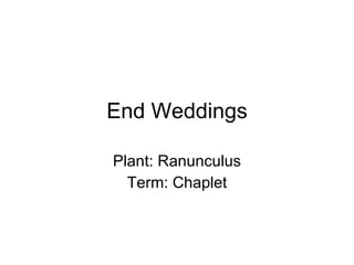 End Weddings Plant: Ranunculus Term: Chaplet 