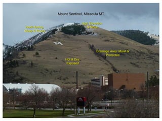 Mount Sentinel, Missoula MT

                                  High Elevation
 North-facing,                       & Moist
Steep & Rocky




                                           Drainage Area: Moist &
                                                 Protected
                     Hot & Dry:
                      Exposed
 