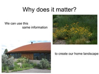 Why does it matter?

We can use this
          same information




                             to create our home landscape
 