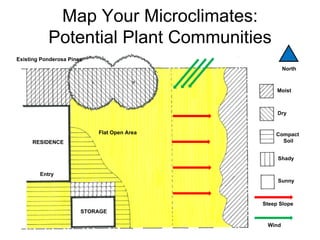 Map Your Microclimates:
           Potential Plant Communities
Existing Ponderosa Pines
                                                    North



                                                 Moist



                                                 Dry


                           Flat Open Area       Compact
     RESIDENCE                                    Soil


                                                 Shady

        Entry
                                                 Sunny



                                            Steep Slope
                       STORAGE

                                             Wind
 