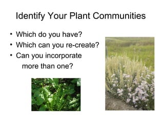 Identify Your Plant Communities
• Which do you have?
• Which can you re-create?
• Can you incorporate
   more than one?
 
