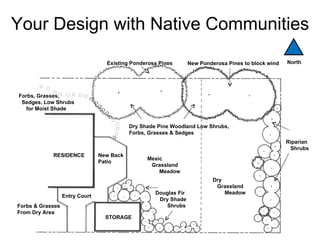 Your Design with Native Communities
                                  Existing Ponderosa Pines        New Ponderosa Pines to block wind   North




Forbs, Grasses,
 Sedges, Low Shrubs
  for Moist Shade


                                           Dry Shade Pine Woodland Low Shrubs,
                                           Forbs, Grasses & Sedges
                                                                                                      Riparian
                                                                                                       Shrubs
            RESIDENCE           New Back
                                                 Mesic
                                Patio
                                                  Grassland
                                                     Meadow
                                                                           Dry
                                                                            Grassland
                                                    Douglas Fir                Meadow
                  Entry Court
                                                     Dry Shade
Forbs & Grasses                                         Shrubs
From Dry Area
                                  STORAGE
 