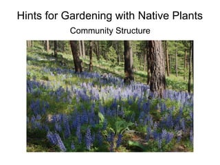 Hints for Gardening with Native Plants
          Community Structure
 