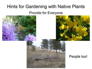 Hints for Gardening with Native Plants
          Provide for Everyone




                                 People too!
 